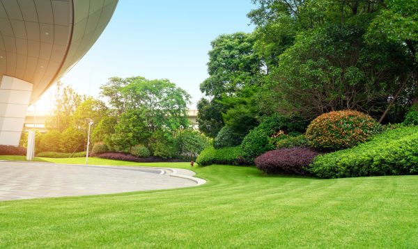 Cost of Commercial Lawn Mowing in Mesa