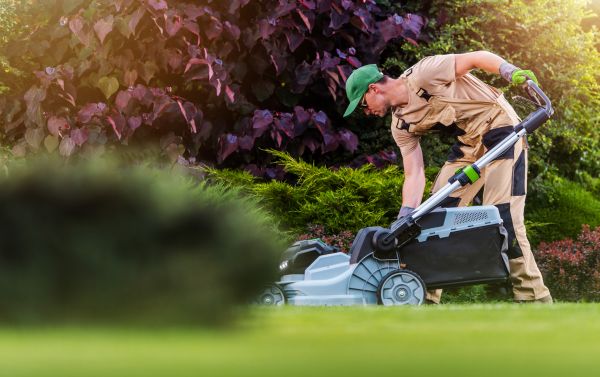 Cost of Lawn Care And Maintenance in Mesa