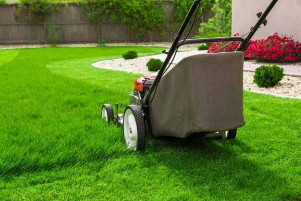 Cost of Lawn Mowing in Mesa