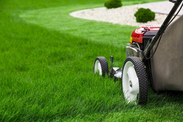 Cost of Mowing Service in Mesa