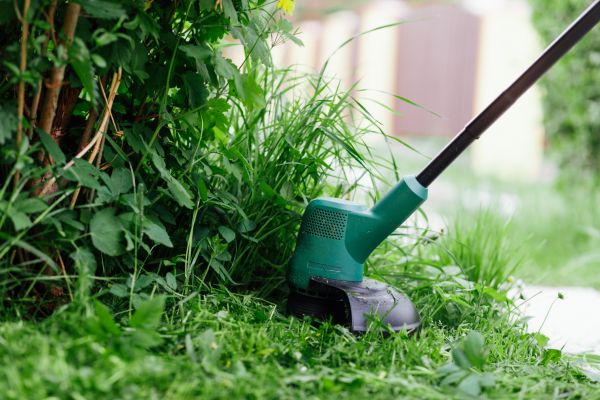 Cost of Weed Whacking in Mesa