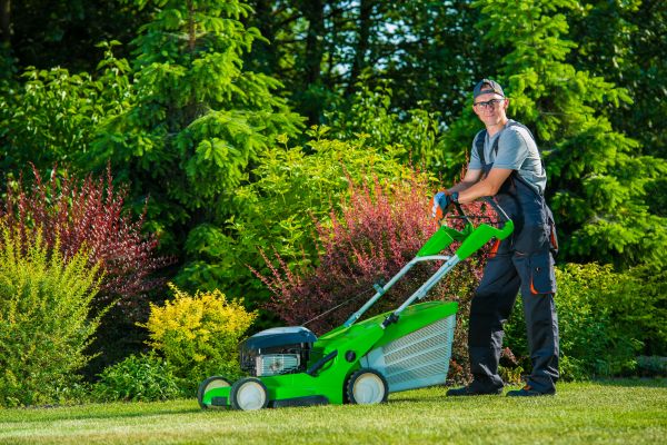 Cost of Yard Work Service in Mesa
