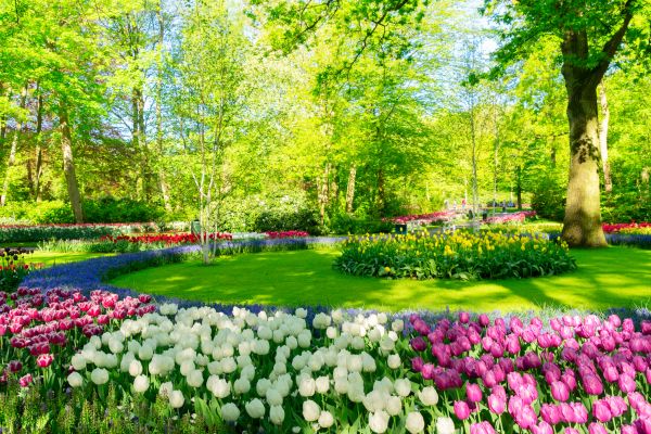 Cost of Spring Lawn Care in Mesa