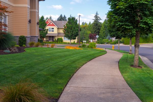 Cost of Home Lawn Maintenance in Mesa