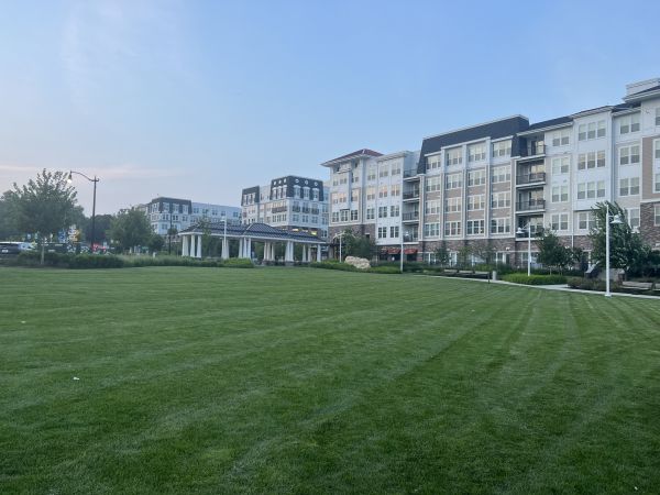Cost of Urban Lawn Care in Mesa