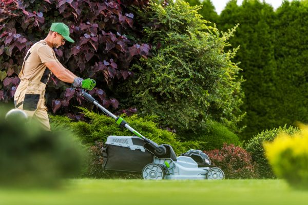 Cost of Lawn Management in Mesa