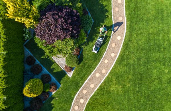 Cost of Mowing And Landscaping in Mesa