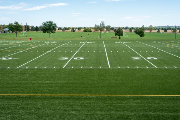 Cost of Groundskeeping Service in Mesa