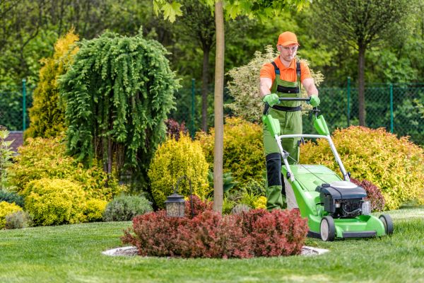Cost of Commercial Yard Maintenance in Mesa