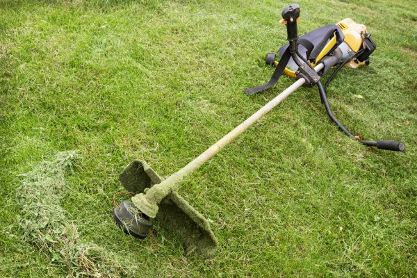 Cost of Hillside Weed Whacking in Mesa