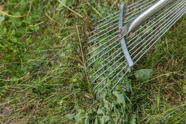 Cost of Thatch Raking in Mesa