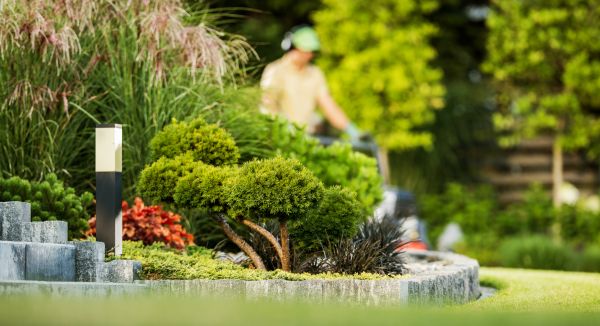 Cost of Residential Yard Maintenance in Mesa