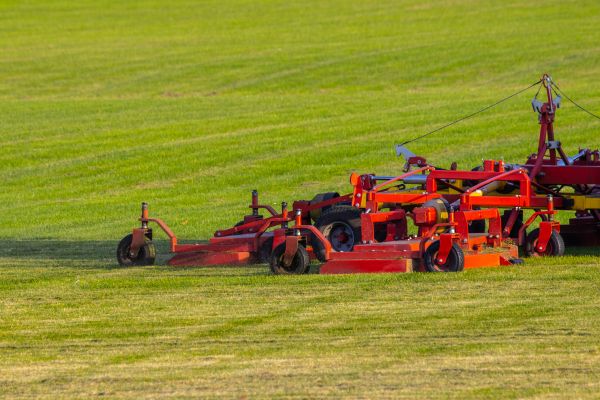 Cost of Industrial Lawn Service in Mesa