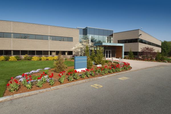 Cost of Commercial Groundskeeping in Mesa