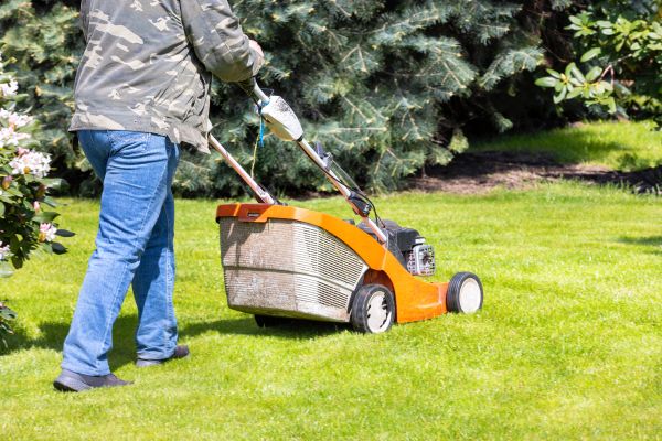 Cost of Springtime Lawn Care in Mesa