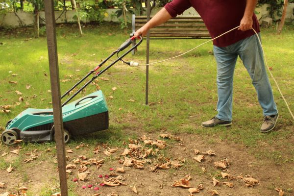 Cost of Leaves Mowing in Mesa