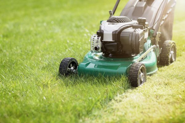 Cost of Spring Grass Trimming in Mesa