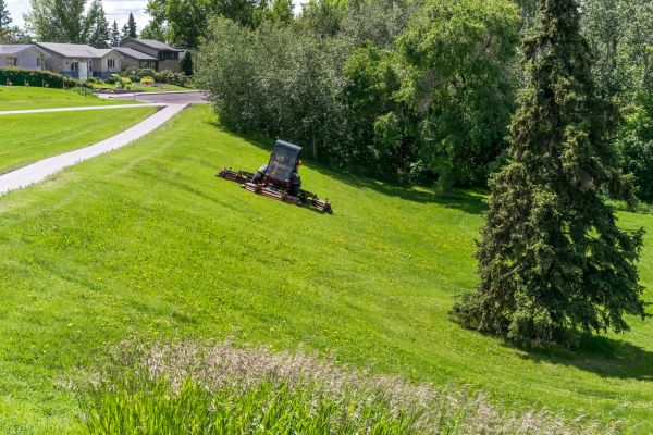 Cost of Sloped Area Mowing in Mesa