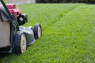 Business Lawn Maintenance detail