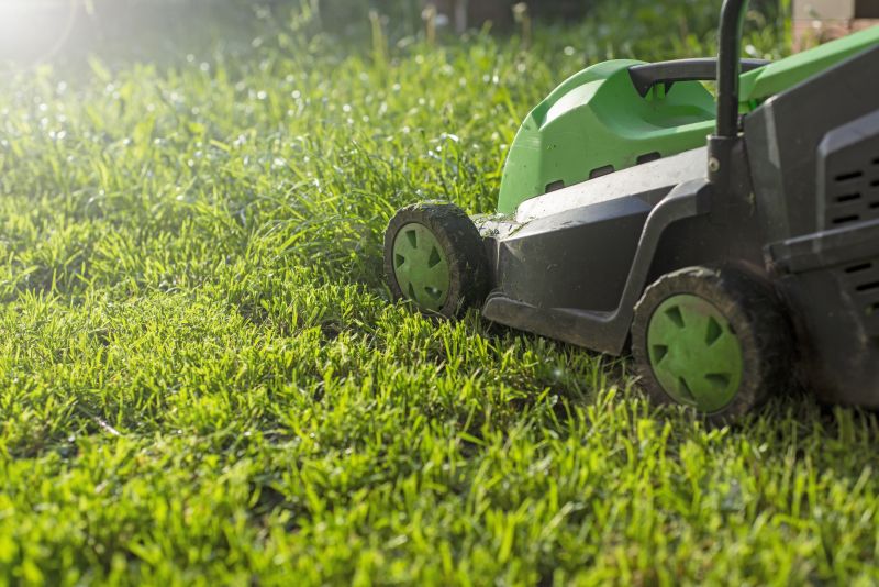Healthy Lawn After Mowing
